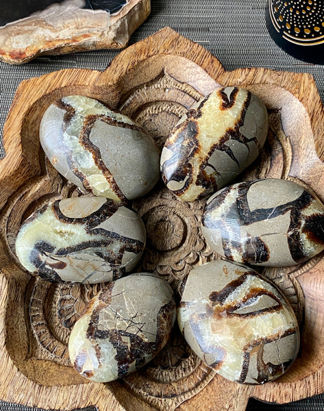 Septarian Palm Stone