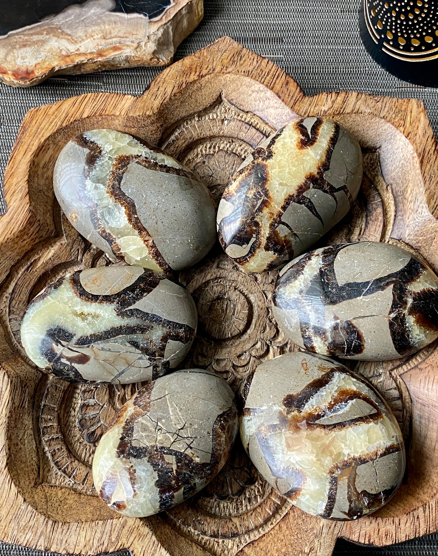 Septarian Palm Stone