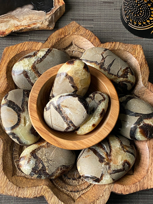 Septarian Palm Stone